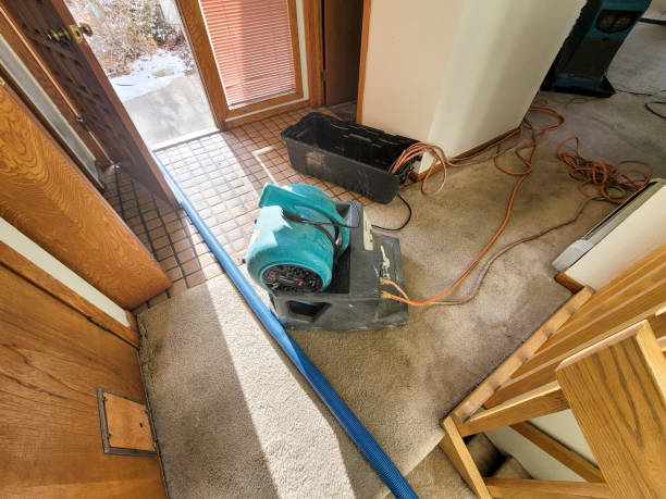 Best Professional water damage repair  in Austin, AR