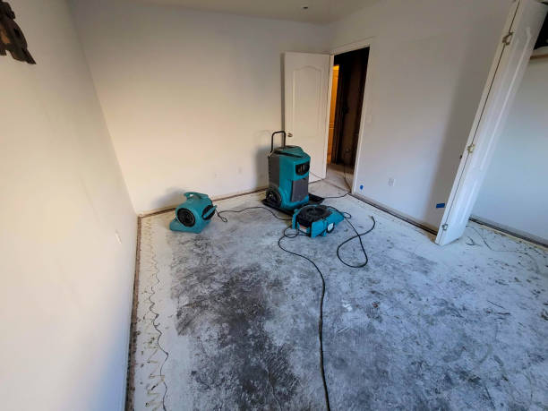 Carpet water damage restoration in Austin, AR