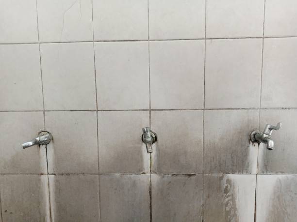 Best Water damage contractors near me  in Austin, AR