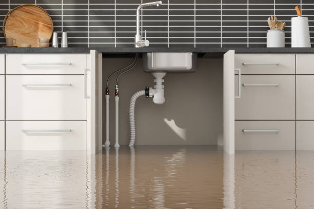 Best 24-hour water damage restoration  in Austin, AR